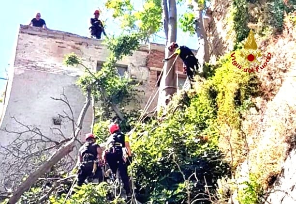 Cagliari, alberi pericolanti in Castello: intervengono i Vigili del Fuoco