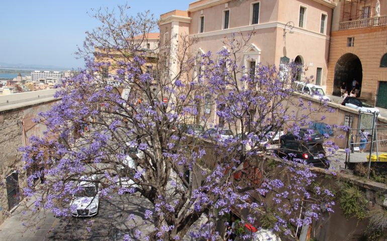 Covid-19: ancora buone notizie, nessun nuovo caso in Sardegna oggi