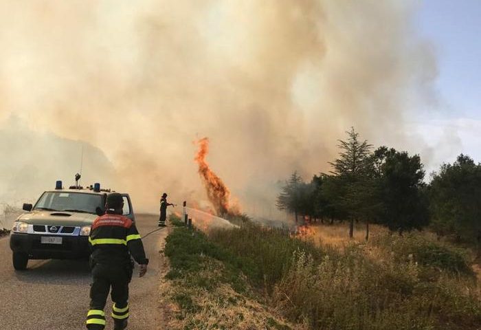 Bruciano uliveti e pascoli: ieri 19 incendi in Sardegna