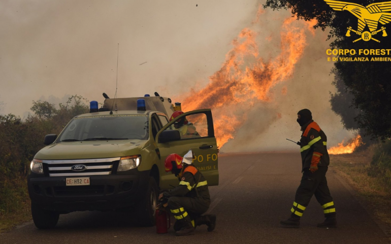 Il fuoco devasta l’Isola: 30 incendi in un solo giorno in Sardegna