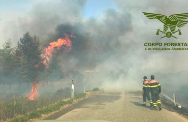 incendi-sardegna-25-maggio (5)