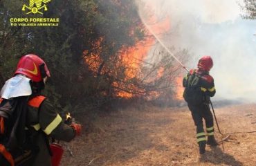 incendio-corpo-forestale