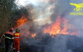 incendio-sardegna