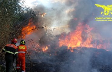 incendio-sardegna