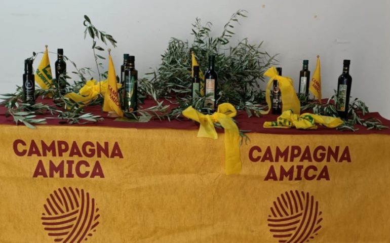 È di Villacidro il miglior olio extravergine di oliva della Sardegna