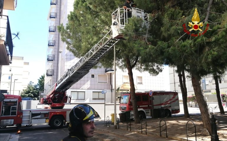 Il vento spezza alcuni grossi rami a Quartu