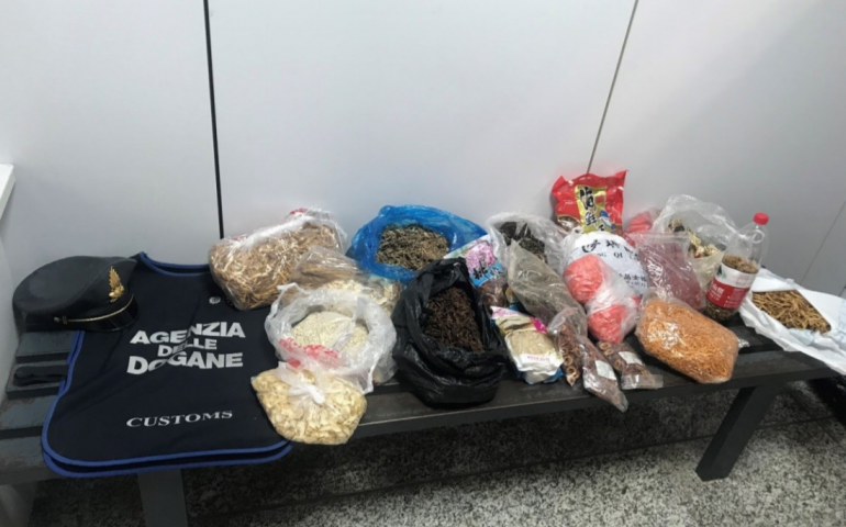 Aeroporto di Alghero: nel bagaglio a mano di un passeggero cinese prodotti vegetali non certificati