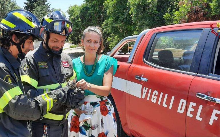 Solarussa: gattino finisce in un canale, i Vigili del Fuoco lo salvano