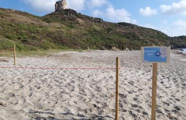 spiagge-cani-sinis-cabras (2)