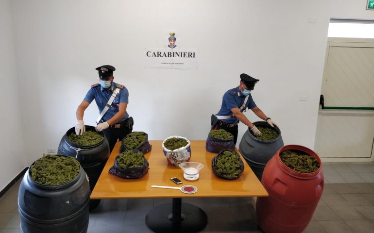 Operazione antidroga a Macomer, 55 chili di marijuana nel garage. In manette un 32enne