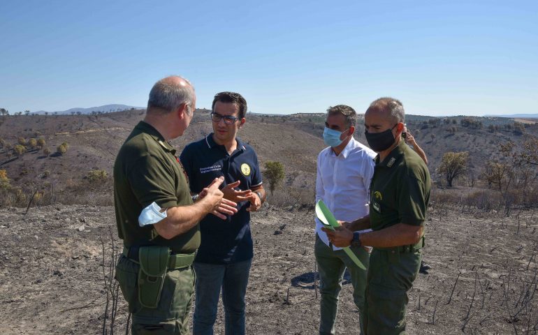 Incendio di Mandas, 1100 ettari coinvolti, Lampis: «La Regione farà la sua parte»