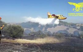Otto ettari di canneto distrutti dalle fiamme a Elmas: i responsabili sono tre 14enni