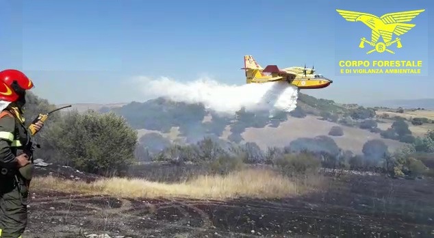 Otto ettari di canneto distrutti dalle fiamme a Elmas: i responsabili sono tre 14enni