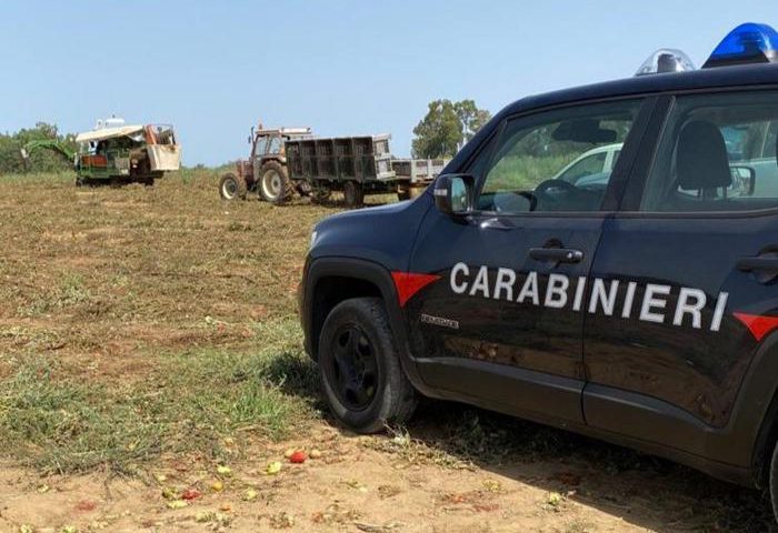 Sanluri, si ferisce alla gamba con un paletto mentre raccoglie pomodori: è grave