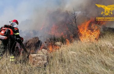 incendi 2 agosto sardegna