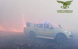 incendi-sardegna-corpo-forestale