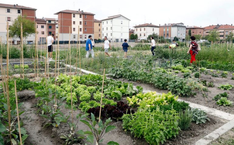 Porto Torres: 12 orti urbani al posto di aree incolte, a curarli i cittadini