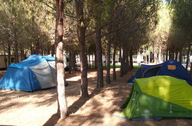 Dopo l’ultima ordinanza regionale, disdette istantanee nei campeggi sardi: Faita chiede chiarezza