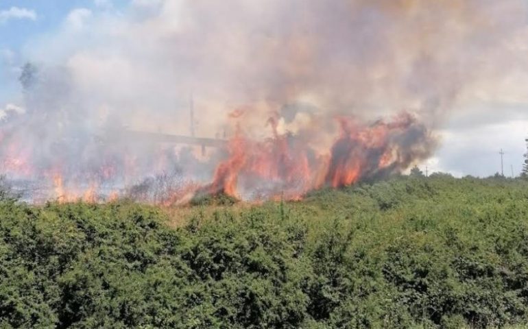 Incendi, anche domani allerta massima nel Cagliaritano