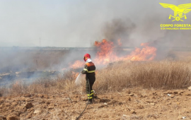 incendio-corpo-forestale
