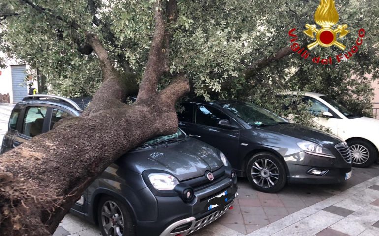 Provincia di Nuoro, decine di interventi dei Vigili del fuoco: il maltempo si abbatte sull’Isola