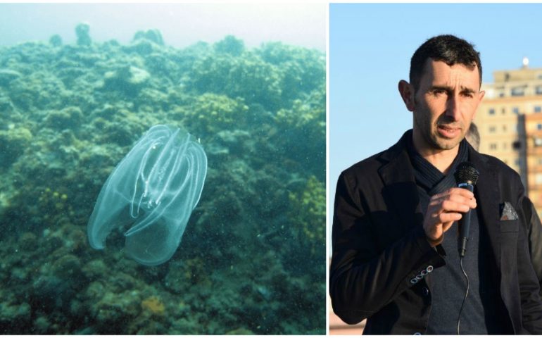 La noce di mare minaccia le Lagune Oristanesi, l’allarme lanciato dal deputato Luciano Cadeddu