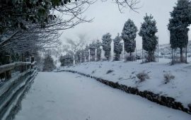 Neve-a-Fonni-e-a-Desulo-Foto-di-Sardegna-Clima-Onlus-3-770x480