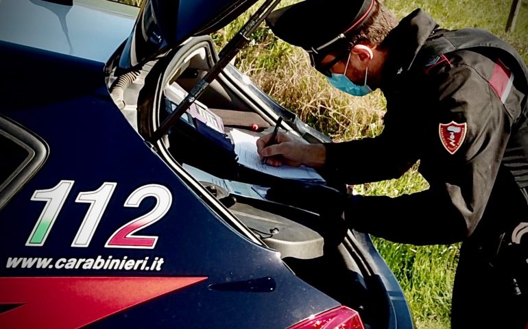 Sant’Andrea Frius: operaio investe un asino: illeso. Morto l’animale