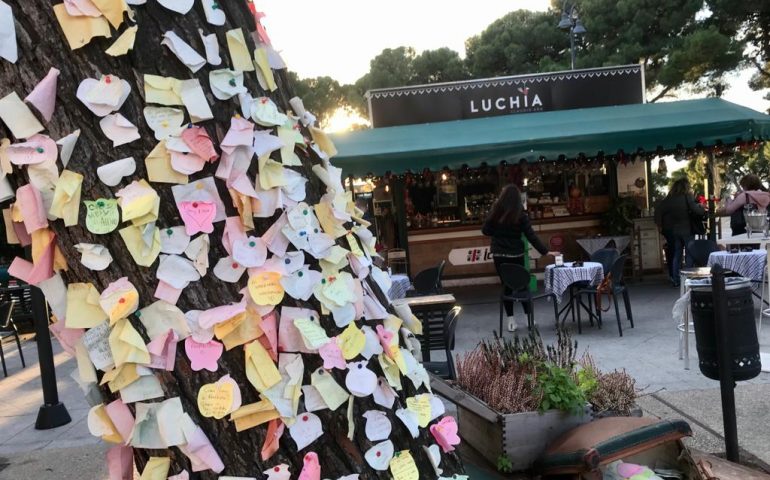 La foto. Cagliari, l’albero dei messaggi in viale Buoncammino