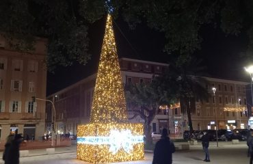 albero di natale piazza garibaldi 2020