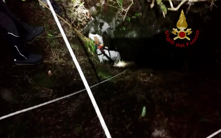 Armungia, tre cani precipitano in un pozzo profondo 10 metri e vengono salvati dai Vigili del fuoco