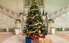 natale-comune-cagliari-truzzu-albero