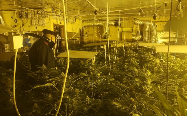 Scoperta a Uta piantagione con oltre 500 piante di marijuana: due giovani ai domiciliari