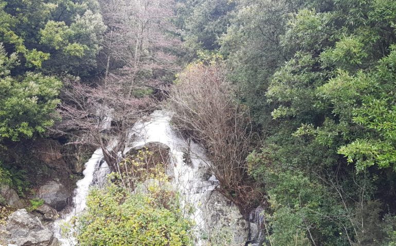 (Video) Tonara, ecco la cascata formata dal torrente Pitzirimasa nei pressi della SS 295