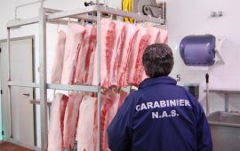 cagliari-macelleria-maialetti-clandestini