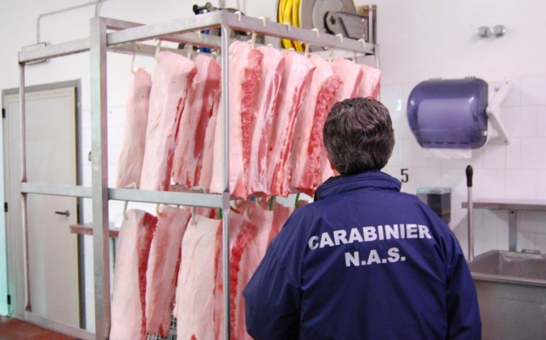 cagliari-macelleria-maialetti-clandestini