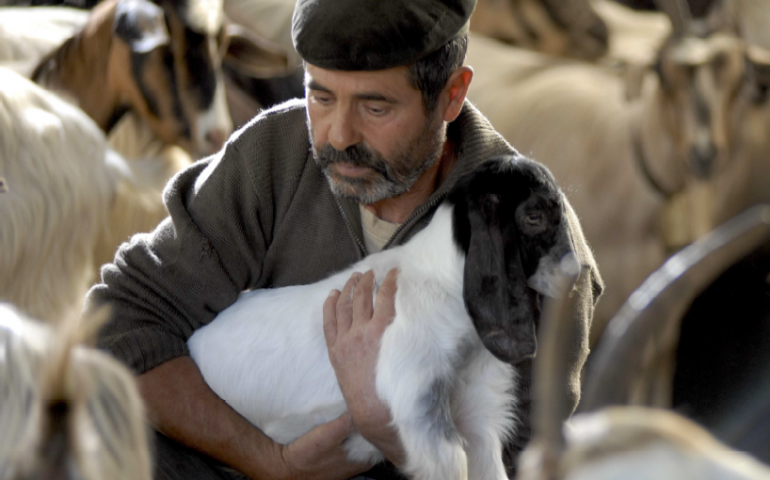 “I cammini della transumanza”. Un nuovo progetto turistico in Ogliastra per le vie del pastoralismo