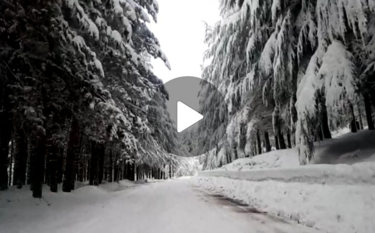 (FOTO e VIDEO) Desulo, la neve manda in tilt telefoni e tv: un desulese coraggioso sale sulle cime e ripristina il segnale