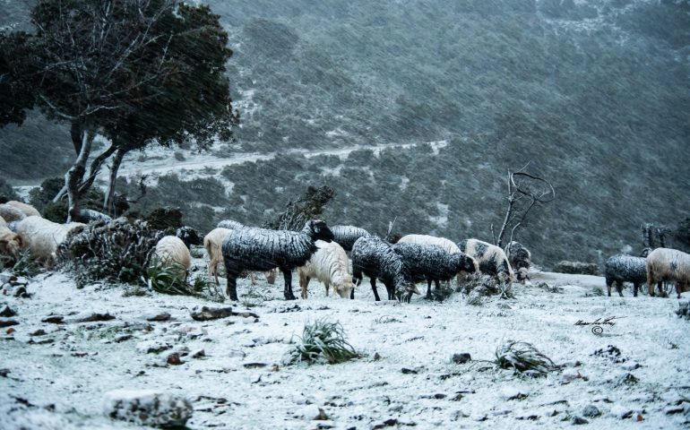 (FOTO) Neve in Sardegna, splendide cartoline dell’Isola imbiancata
