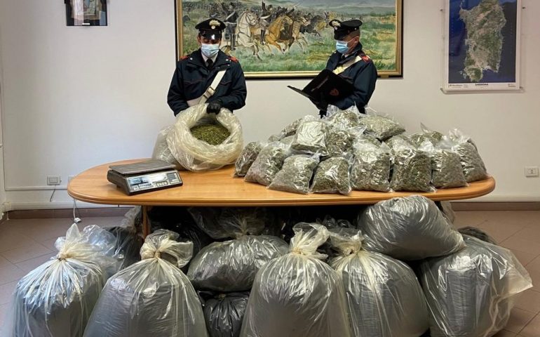 Olbia, trovati oltre 118 kg di marijuana in una villetta. Due arresti