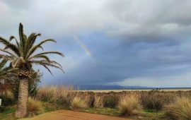 poetto-gennaio