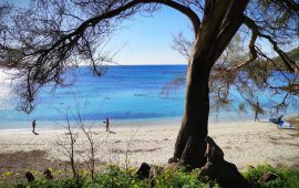 sole-mare-poetto-calamosca-zona-arancione-cagliari (8)