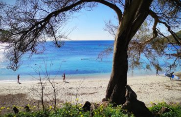 sole-mare-poetto-calamosca-zona-arancione-cagliari (8)