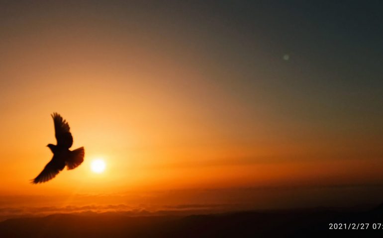 La foto. Sorge il sole sulla nostra bella Sardegna