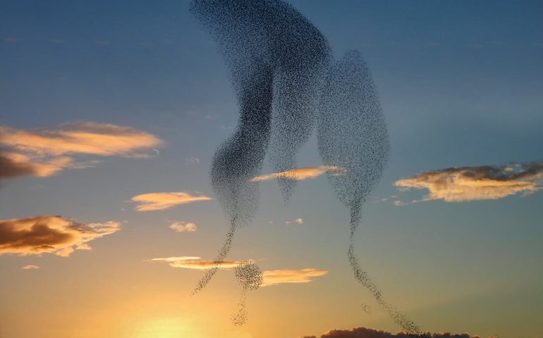 La foto. Cagliari al tramonto nell’incredibile scatto di Franco Lecis