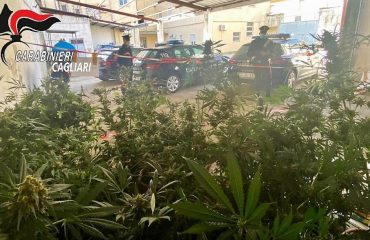 marijuana-sanluri-carabinieri (2)