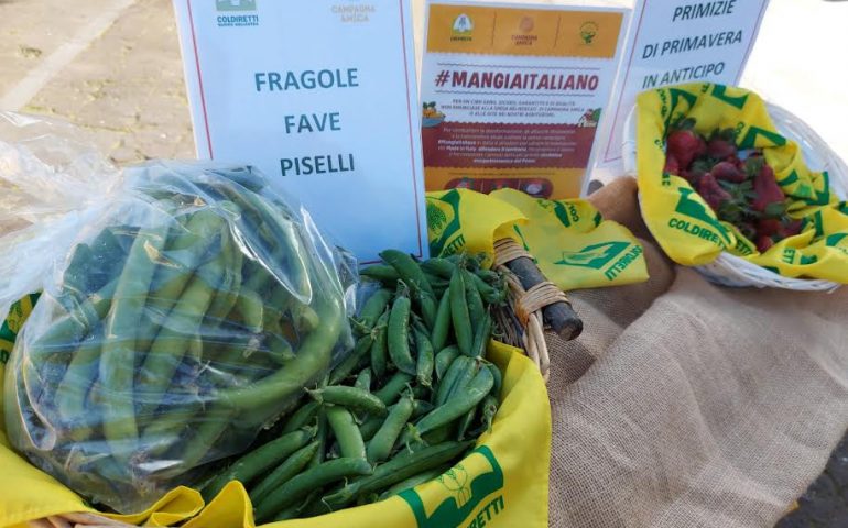 Cambiamenti climatici, fragole, spinaci, fave e piselli in vendita in Sardegna con un mese di anticipo