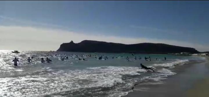 (VIDEO) Un cuore fatto con le tavole per Gimmy: il saluto degli amici surfisti al Poetto