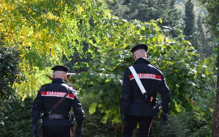 Sardegna, va in cerca di asparagi e trova un ordigno della Seconda guerra mondiale: area immediatamente cinturata