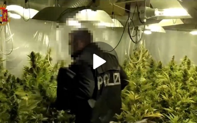 (VIDEO) Serra di marijuana in casa alimentata con la corrente elettrica rubata: un arresto a Quartu